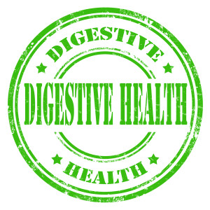 Grunge rubber stamp with text Digestive Health,vector illustration