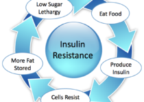 Insulin Resistance Cycle