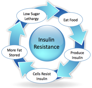 Insulin Resistance Cycle
