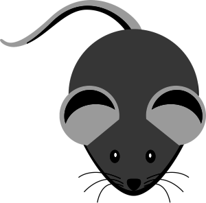 mouse