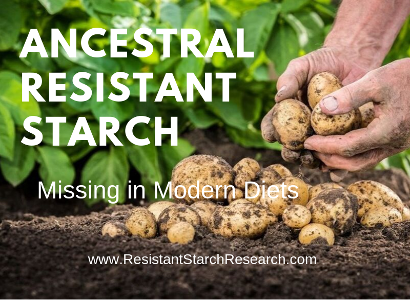 Ancestral Resistant Starch